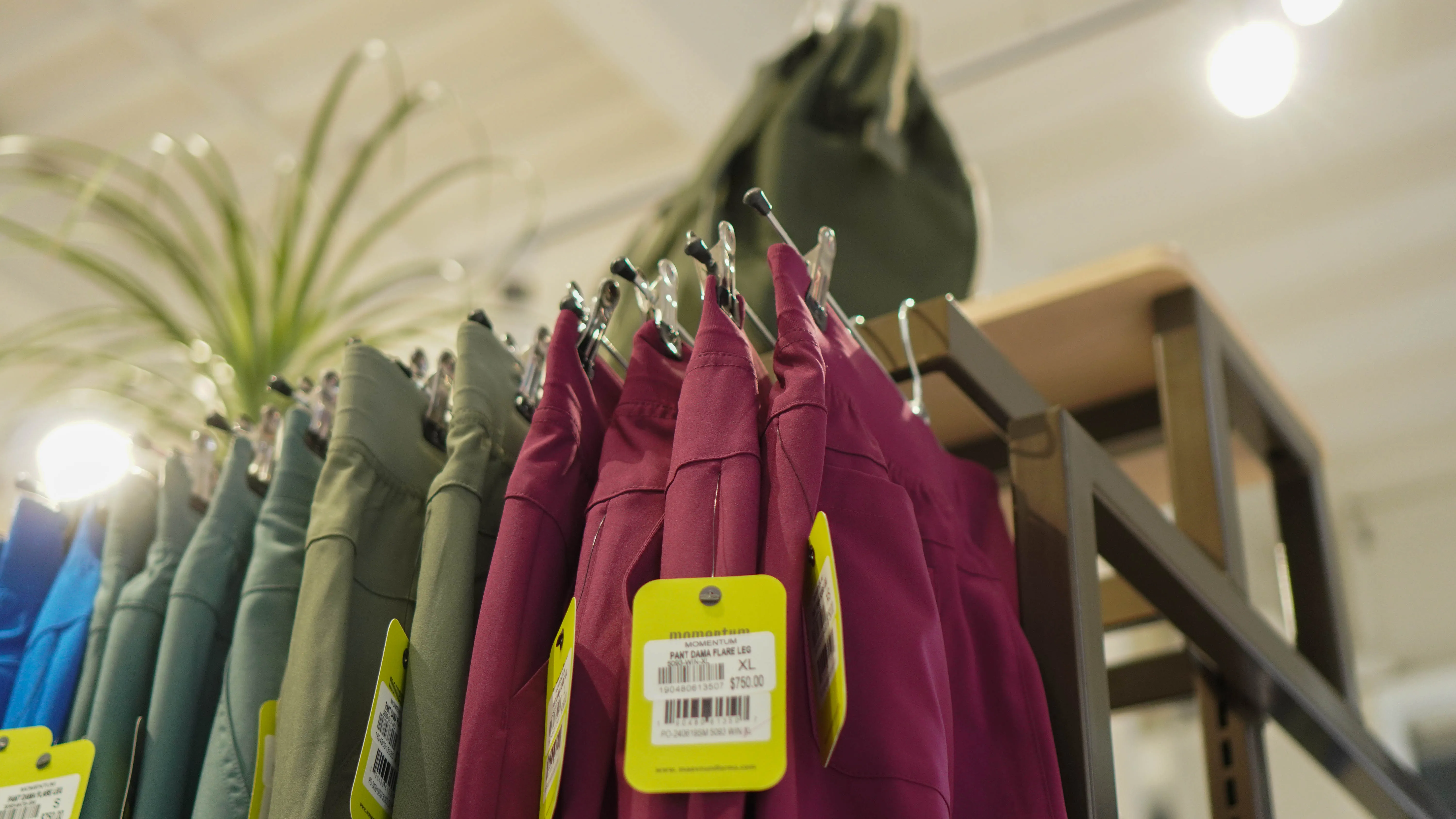 Prendas profesionales en distintos colores